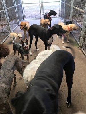 Had to get the whole daycare crew in a small space to get a photo of all of them!