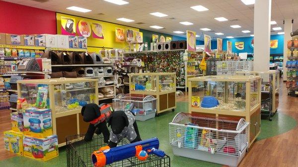 Pet Supermarket in Dilworth, Charlotte, NC