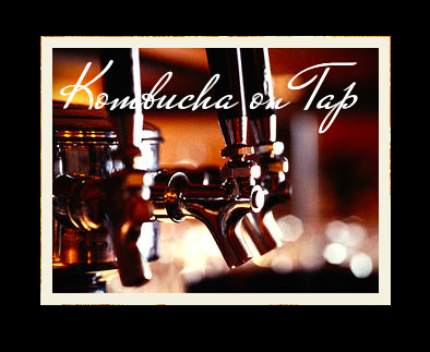 Tealixir Kombucha on tap