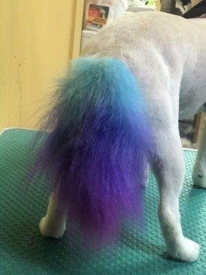 Rainbow tail :)