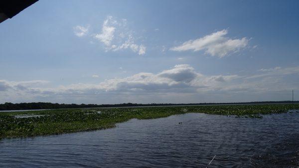 Lake Woodruff