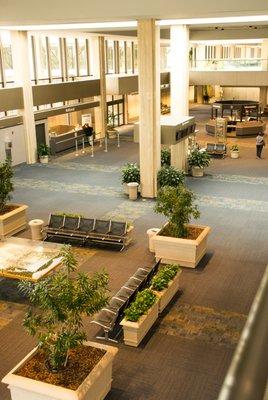 Norfolk International Airport by Cherry Carpet & Flooring