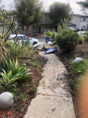 My area rugs thrown on my front yard, right as my sprinklers are coming on.