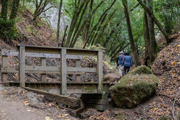 Rancho San Antonio Preserve