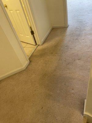 BEFORE - Carpet in upstairs hallway