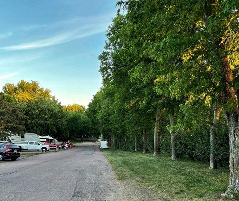 One border of the park, with a row of trees and hedges providing a barrier against the neighboring residential area.