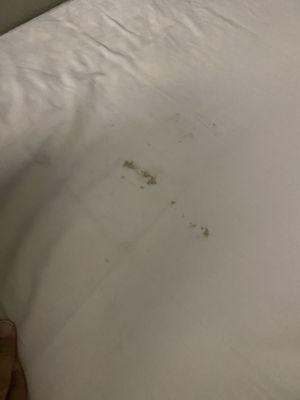 Stain on bed sheets