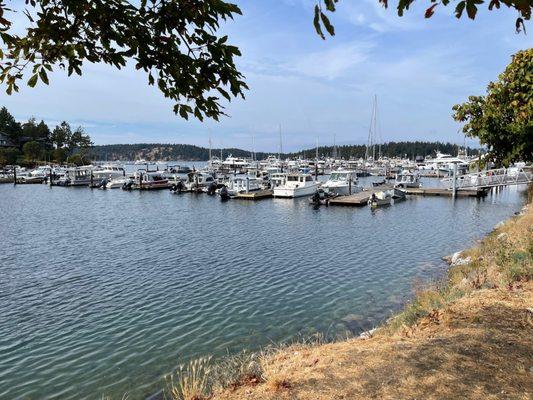 Docks at Roche Harbor