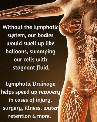 Passionate about the Lymphatic System