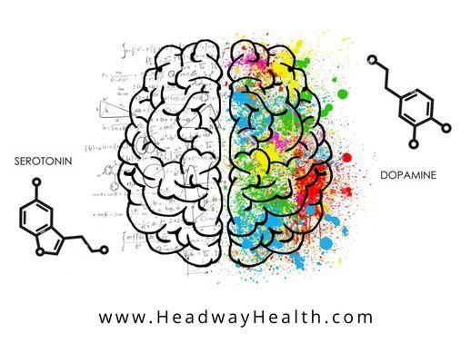 Happy brains create happy neurotransmitters!