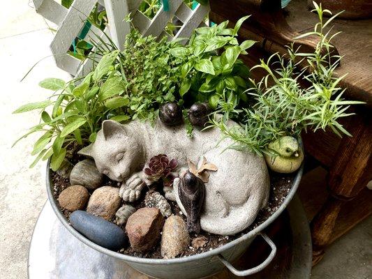 Small herb garden outside of a kitchen door.