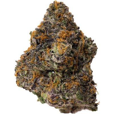 Jealousy is an evenly balanced hybrid strain (50% indica/50% sativa) created through crossing the delicious Gelato 41 X Sherbet strains.