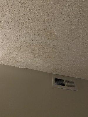 Leak water stains from constant apt flooding