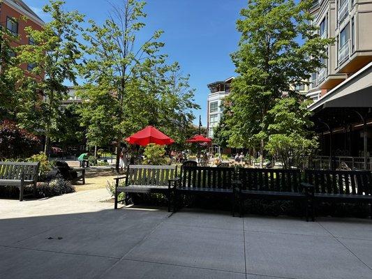 Look just beyond the benches for the open area with the tables and umbrellas