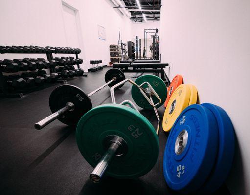 Weightlifting and Fitness Area