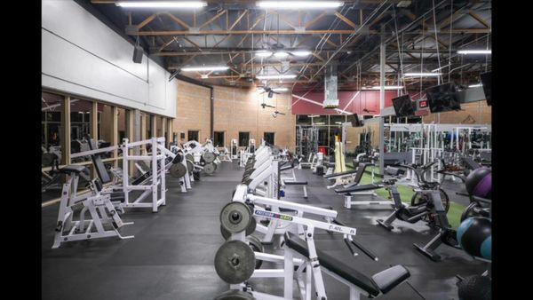 Multiple Benches, Leg presses, hack squats, pendulum squats, and ab benches!