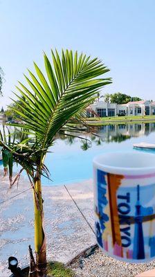 Reborn Colombia  coffee ..enjoying a cup of Joe at home ..poolside .