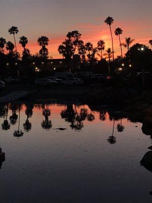 Santa Barbara harbor