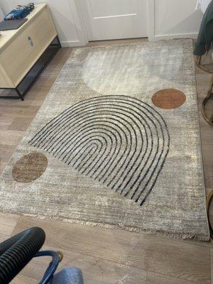 Area rug cleaning for a residential customer