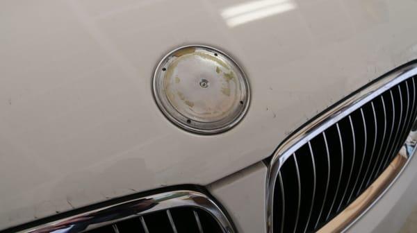 Vehicle arrives from Autos Of Palm Beach with BMW logo badge missing.