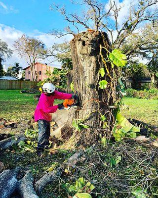 Tree Removal