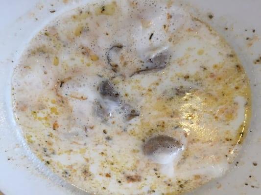 Oyster Stew