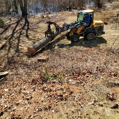 Colonial Tree Service