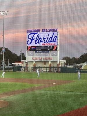 Gator baseball field