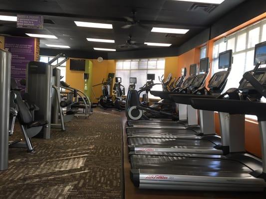 Good amount of cardio machines (treadmills, elliptical, stair master, bikes)