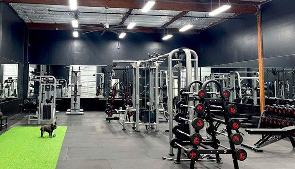 Train with Milo in his all-new 2,000 sq ft private, personal training gym featuring state-of-the-art equipment.