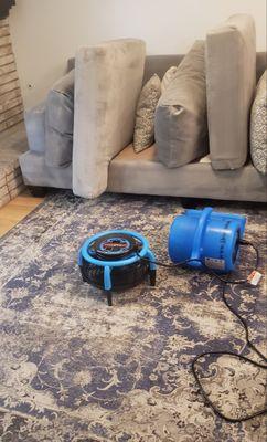 Area rug and upholstery cleaning.