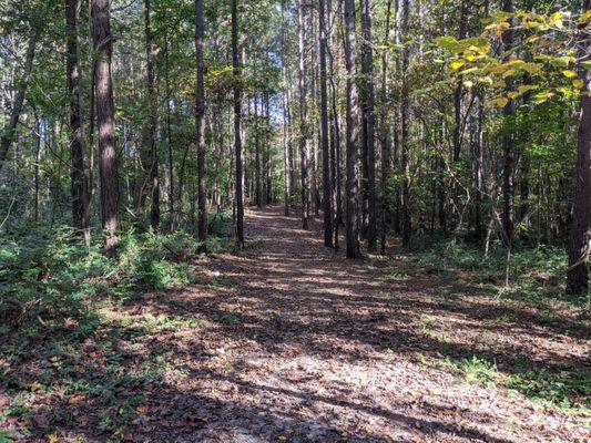 South Fork River Park, Gastonia