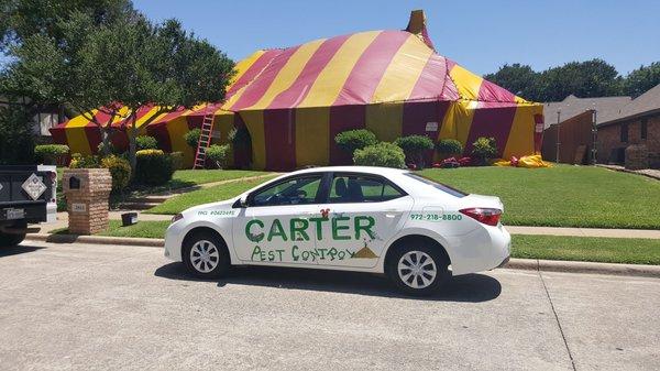 Carter Pest Control