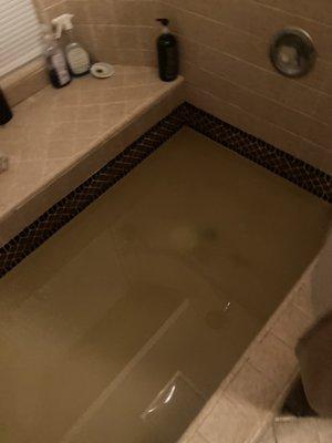 Another example of my bathtub being full of feces water, keep in mind my bathtub is about 3 feet down. It's 2 feet high of water!