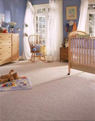 EcoCarpet Cleaning Service provides the best Carpet Cleaning in Utah