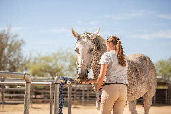 Rolling Hills Riding Academy