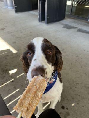 Finley and his Puppop