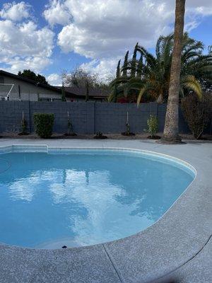 New hibiscus and vines by the pool