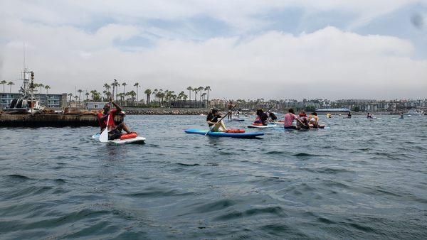 Pride Paddleboarders with King Harbor seals in pic. Paddleboards provided by Olympus Standup Paddleboards..