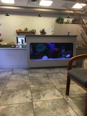 Reception area with fish tank. Office staff is very nice.