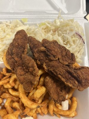 Over cooked chicken tenders. Driest cold slaw in existence