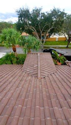 After Tile Roof Replacement High Profile Concrete Tile