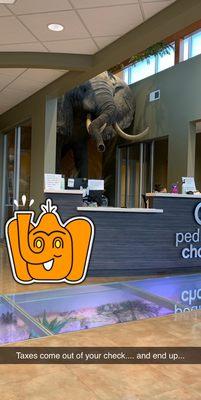 Pediatric choice and the elephant in the room, brought to you by tenncare.