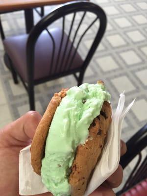 Delicious Ice Cream Cookie Sandwich!