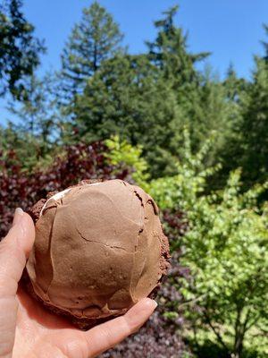 Chocolate marshmallow cookie