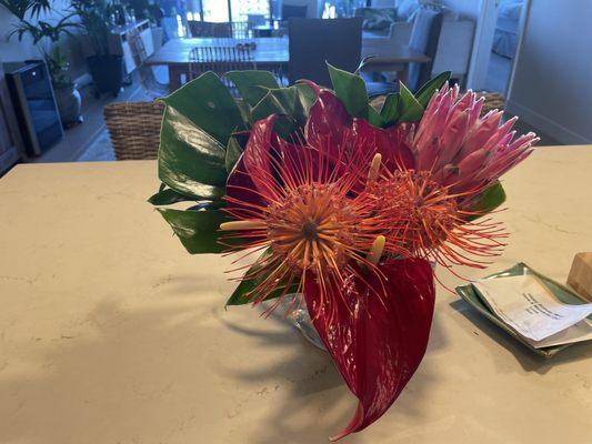 Protea, anthuriums, monastera ~