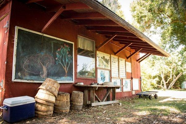 Sacramento Waldorf School