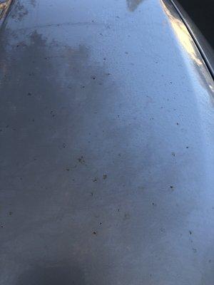 Red rust-looking spots on car after car wash.