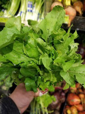 Beautiful beautiful arugula!! Look at those gorgeous leaves! organic..