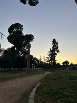 Trail in between park